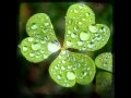 Chris Rea - I love the rain.wmv 