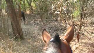 preview picture of video 'Mexico March,2009 063 Horse Riding near Barra de Navidad, Mexico'