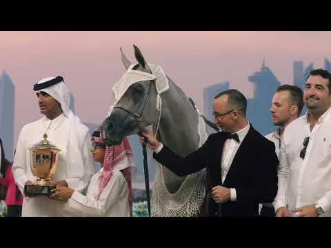 WAHC 2023 - Junior Fillies Championship