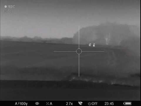 video-Termovízia Pulsar Trail XQ50