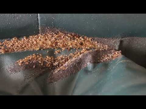 Couch & Entire Room Infested with Bed Bugs...