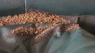 Watch video: Couch & Entire Room Infested with Bed Bugs in Monmouth Beach, NJ