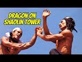 Wu Tang Collection Dragon On The Shaolin Tower