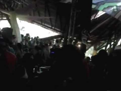 a noite do cachorro doido