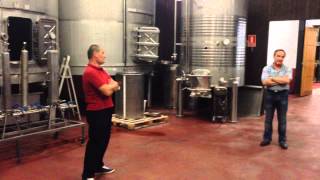 preview picture of video 'Short story about long process: how the wine is made in 5 minutes'
