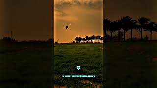 Download lagu Samikitte solli vachu song whatsapp status ✨💕 90's love lyrics whatsapp status 🫴❣️ #popularsong #90s mp3