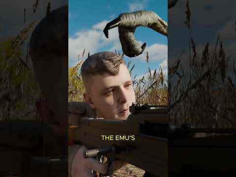 The Great Emu War In Australia 🤯