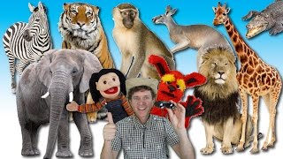 What Do You See? Song | Wild Animals | Learn English Kids