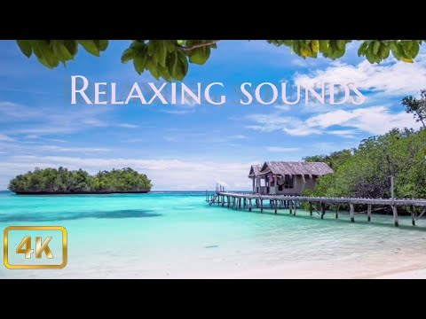 fascinating tropical beach view calming video #Relaxing sounds #