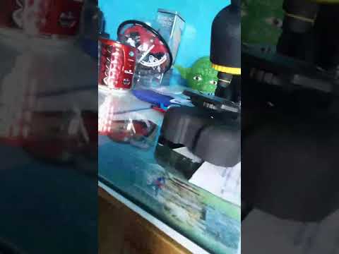 register amazon echo