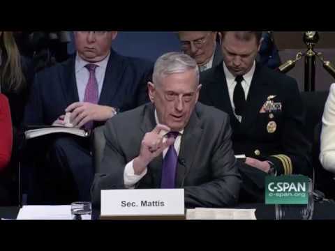 Mattis on Russian Mercenaries in Syria: I Ordered Their Annihilation