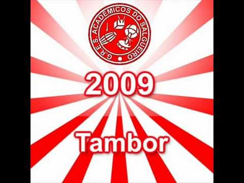 Acadêmicos do Salgueiro 2009