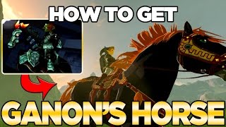 How to get Ganon