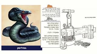 דף יומי מסכת שבועות דף כט Daf yomi Masechet Shevuot page 29  ע"י יוני גוטמן (שיעורי הדף היומי ב-20 דקות – מועבר ע"י ר' יוני גוטמן – לעילוי נשמת אביו ר' אלימלך צבי (צביקה) גוטמן ז"ל) - התמונה מוצגת ישירות מתוך אתר האינטרנט יוטיוב. זכויות היוצרים בתמונה שייכות ליוצרה. קישור קרדיט למקור התוכן נמצא בתוך דף הסרטון
