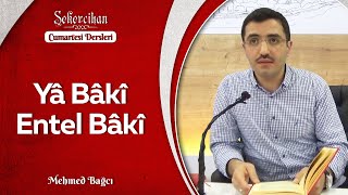 Yâ Bâkî Entel Bâkî | Mehmed Bağcı