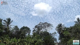 preview picture of video 'Travel Africa! Driving through the sky with cloud in Zanzibar / ASMR'