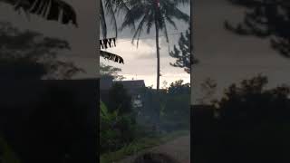 Download lagu heboh detik-detik petir menyambar pohon kelapa mp3