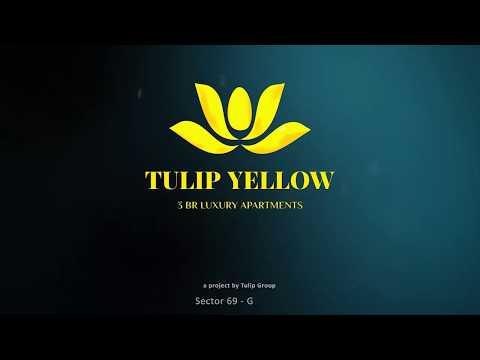 3D Tour Of Tulip Yellow