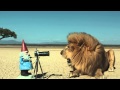 The Travelocity Roaming Gnome Safari Commercial