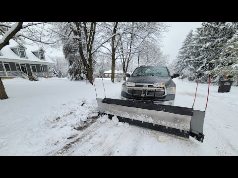 Snowplow back drag cutting edge
