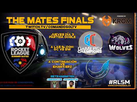 THE FINALS #RLSM | @eHawkerz @BloodyWolveClub #GChampions | ROCKET LEAGUE SUMMER MATES