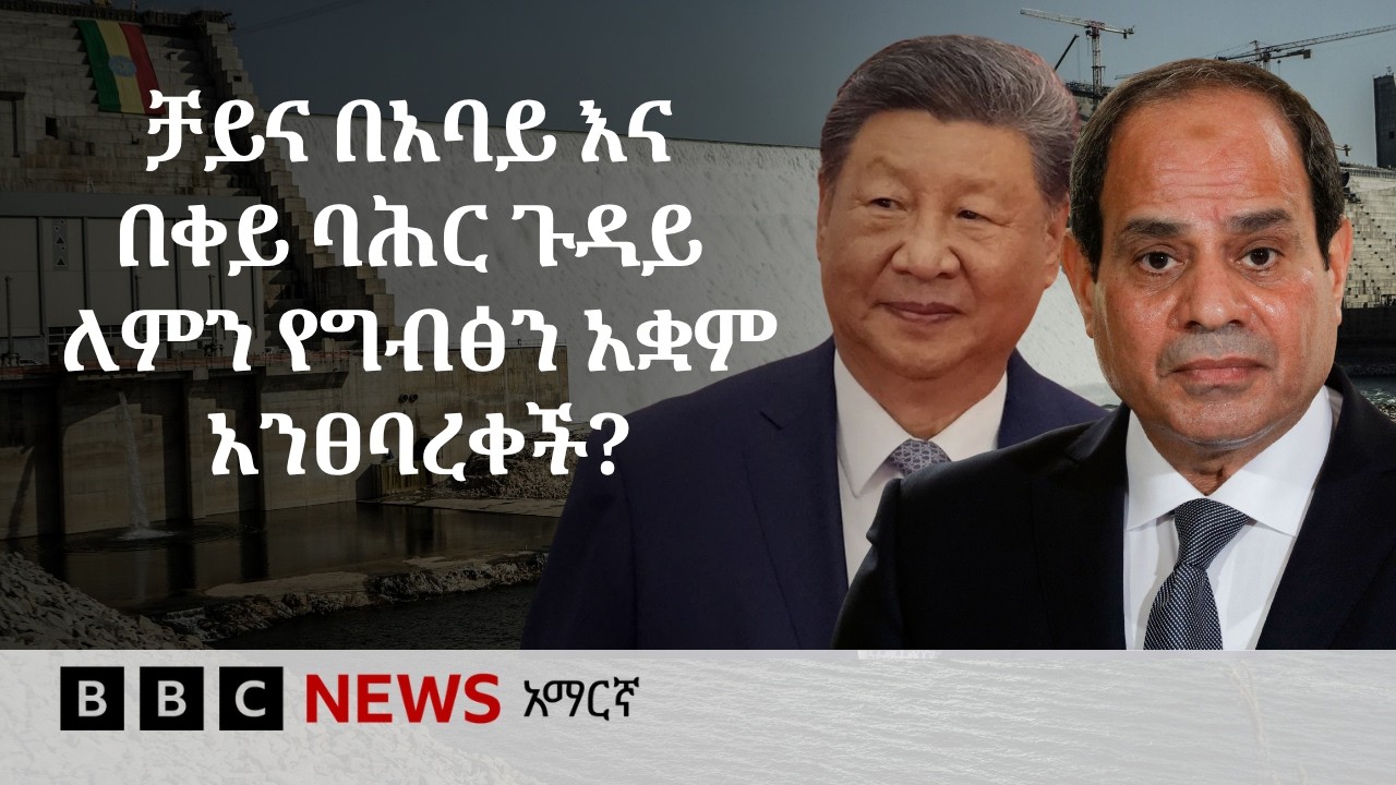 አነጋጋሪ የሆነው የቻይናው ፕሬዝዳንት የካይሮ ጉብኝት | BBC News አማርኛ