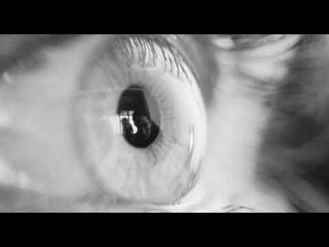 The Cost of Flesh — Bande-annonce (Français)