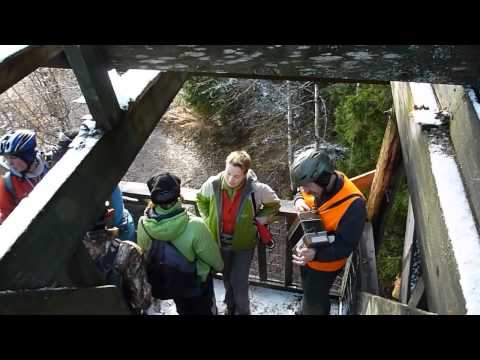 Летят перелетные птицы