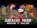Jurassic Park Evolution Movie Dinosaurs Compared To Real Life 1993 ANIMATED