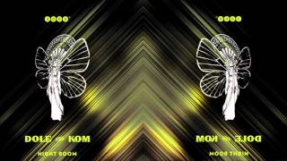 Dole & Kom - Night Room - 3000° Records 031