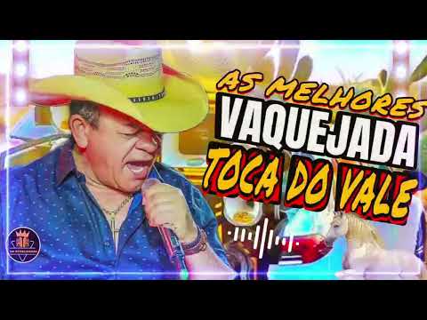 SO AS MELHORES TOCA DO VALE 2025 -100% ATUALIZADO - FORRO DE VAQUEJADA 2025 - BLACKCDS 2025