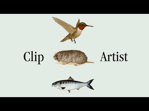 Video thumbnail for Clip Artist