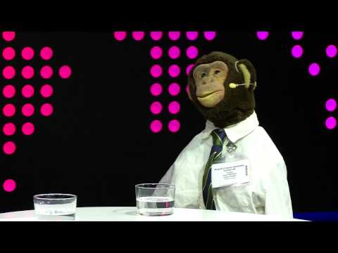 Dagens Nyheter intervjuar Alejandro Fuentes Bergström inför valet.