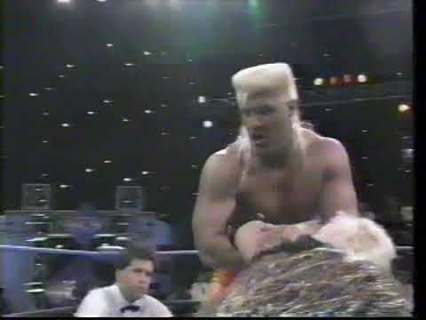 Cole Twins vs. Nasty Boys [1993-12-04]