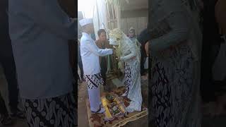 Download lagu Ya Nabi Salam Alaika mp3