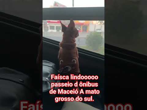 viagem de Maceió Al a mato grosso do sul água Clara..