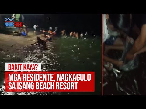 Bakit kaya? Mga residente, nagkagulo sa isang beach resort GMA Integrated Newsfeed