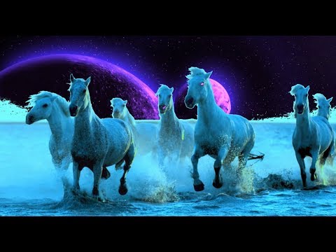 Emericvs - EMERICVS: Horses on the Run