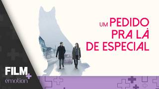 Um Pedido pra Lá de Especial // Filme Completo Dublado // Aventura // Film Plus Emotion