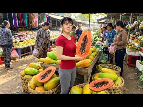 Harvesting Giant Papaya Fruits to Sell at Market | Surprising Farm Animals Care & Free Bushcraft