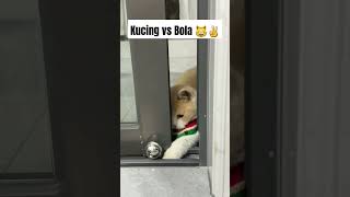 Download lagu Kucing Lucu Main Bola 😸✌️ #shorts #cat #cutecat #funny mp3 Download lagu Kucing Lucu Main Bola 😸✌️ #shorts #cat #cutecat #funny mp3