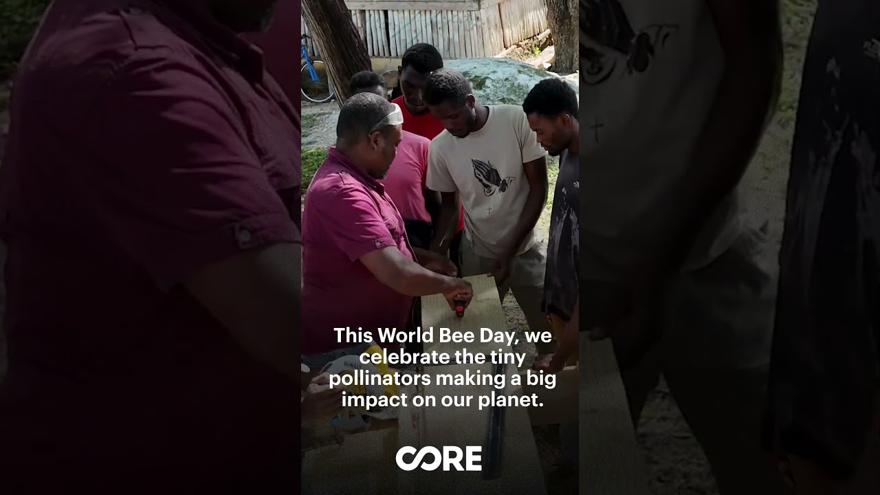 CORE: World Bee Day 2026 | Haiti Beekeeping
