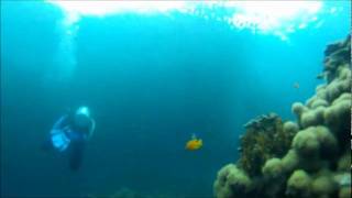 preview picture of video 'Philippines Pescador Island, Cebu'