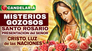 Santo Rosario HOY Lun 2 Feb 2026 🕯️ (Gozosos) — Candelaria: Cristo, Luz para tu camino