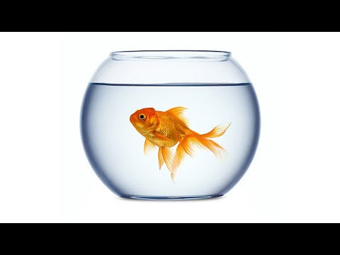 The HARDEST riddle in the world (with solution)