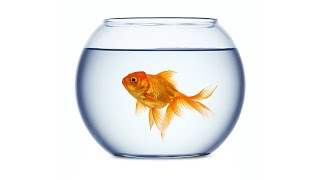 The HARDEST riddle in the world (with solution)