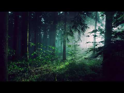 [Dub Techno Mix] XEED - Circles & Spheres Podcast