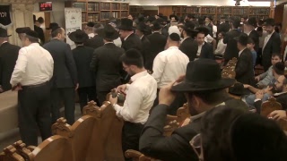 חמש שנים להסתלקות מרן זצ''ל - יום שידורים מיוחד