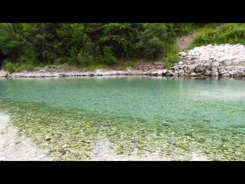 River Soča Trout Slovenia Fly Fishing.com Dry Fly Kevin Smith