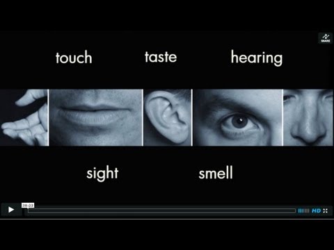 Lecture 3: Volition: The choice to think